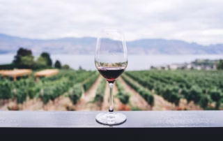 How To Get The Most Out Of Your Wine Tasting Trip To California